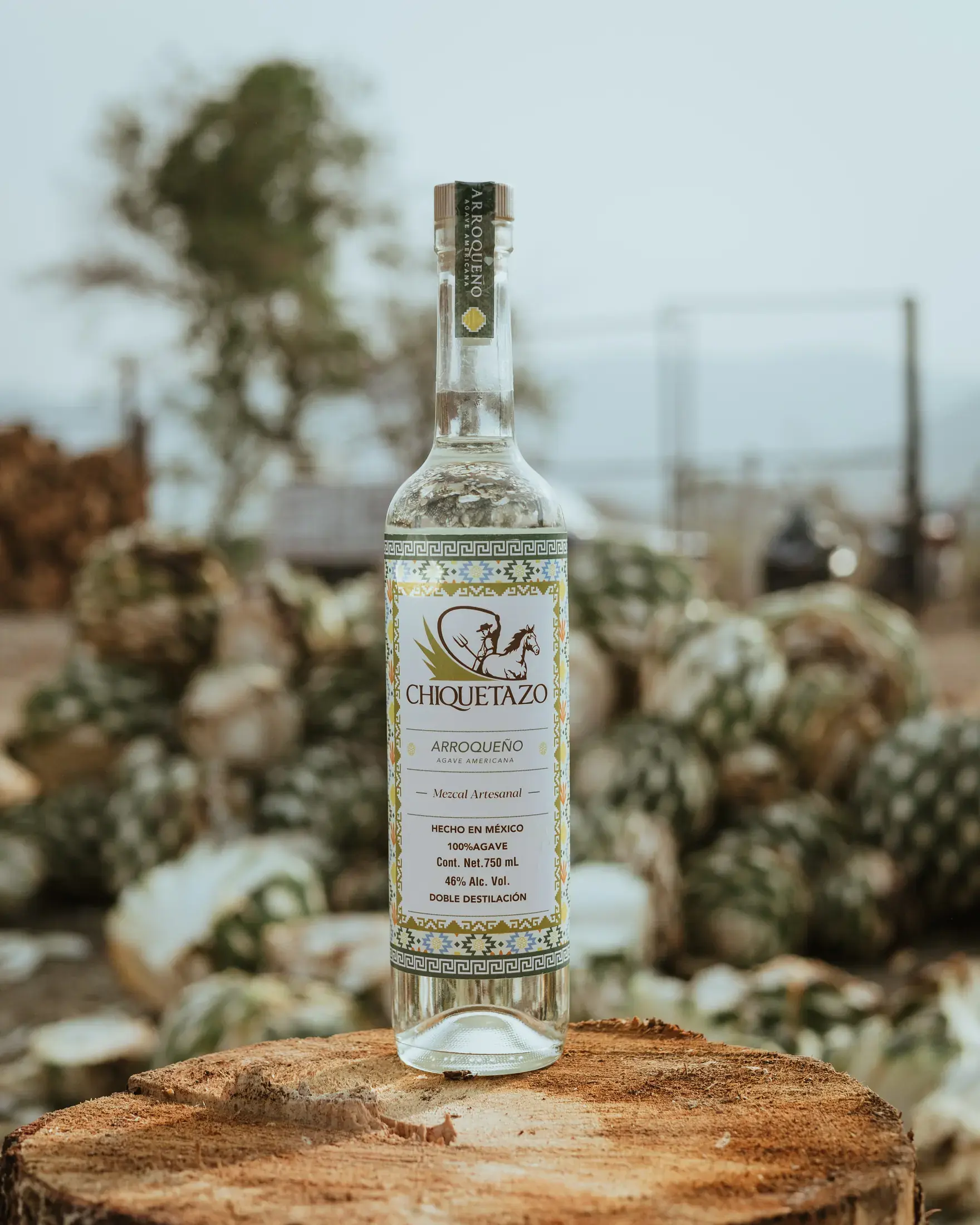 Botella de Chiquetazo Arroqueño de pie sobre un tronco cortado, con piñas de agave amontonadas detrás.