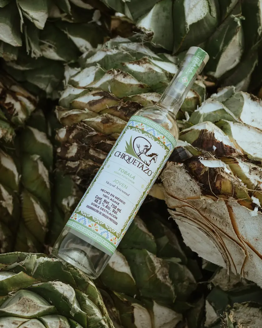 Botella de Chiquetazo Tobalá recostada sobre un montón de piñas de agave partidas.
